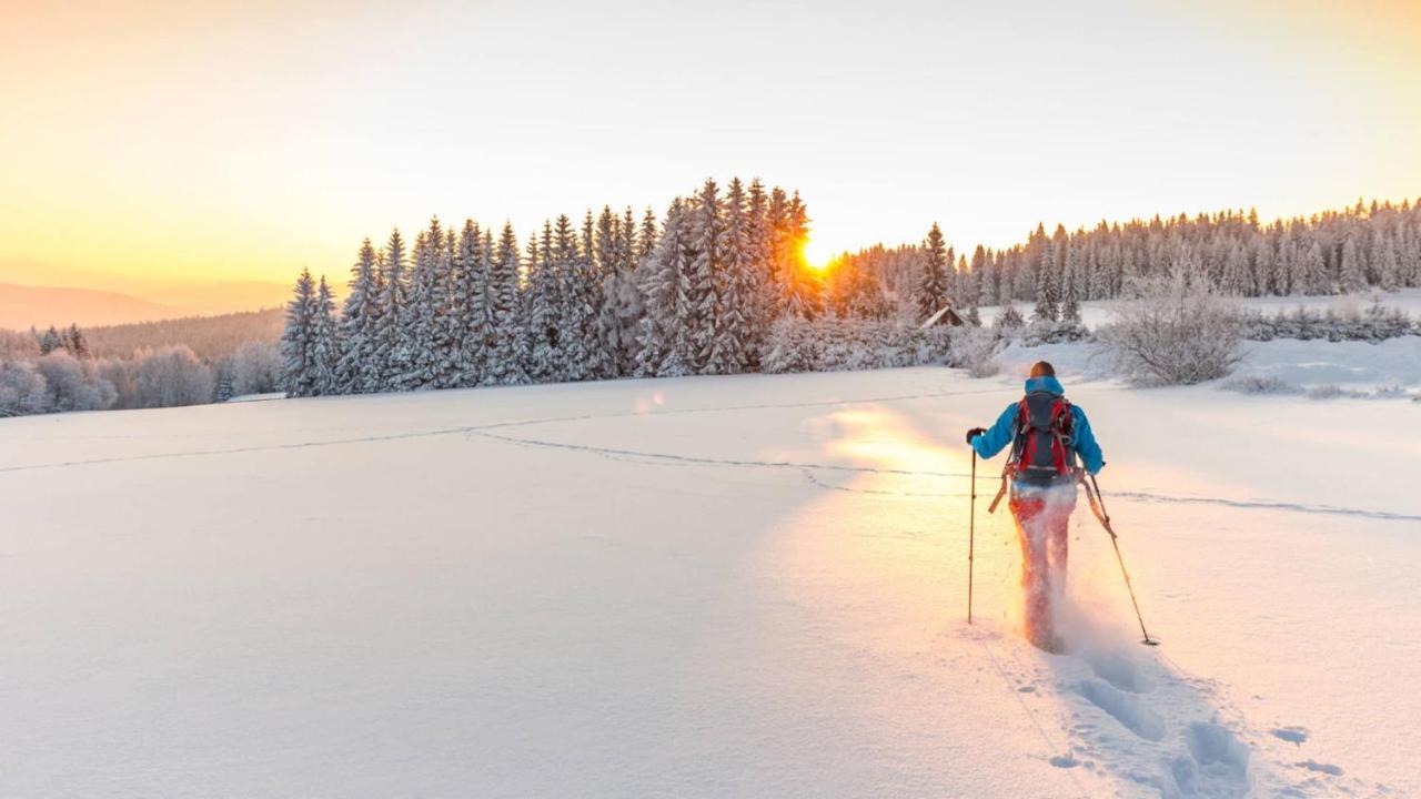 Chambre Privee Au Pied Des Pistes - Chambre Chez L'Habitant - Chaletnelda Com Lamoura Zewnętrze zdjęcie