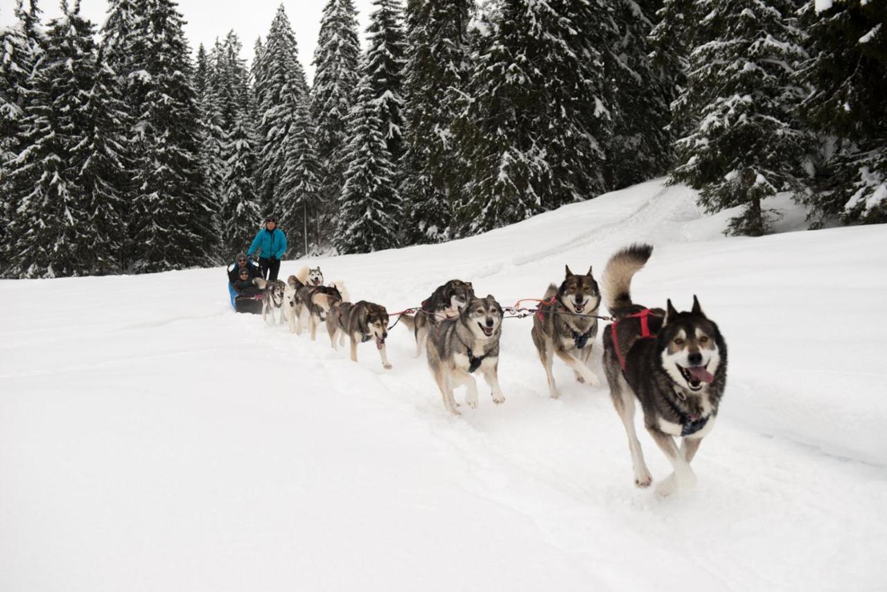 Chambre Privee Au Pied Des Pistes - Chambre Chez L'Habitant - Chaletnelda Com Lamoura Zewnętrze zdjęcie